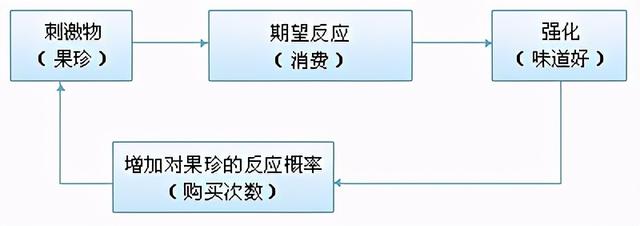 行为心理学经典实验-斯金纳箱