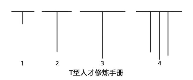 T型人才的成长之道