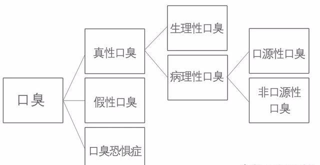 经常接吻的人，对身体会有这6个好处，提醒：接吻前该做到四件事