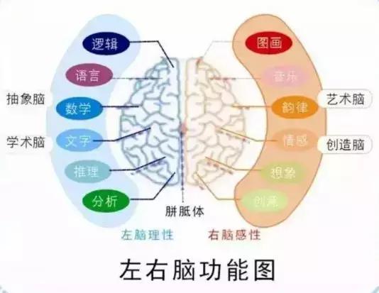 0-6岁孩子的智力开发关键在右脑？这些游戏让娃的右脑活起来