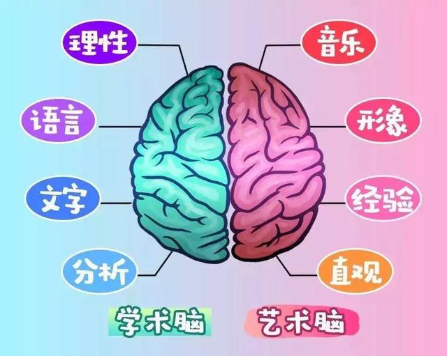 全能右脑｜左右脑小测试，看看你大脑的优势（右脑开发）