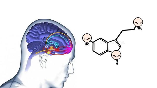 戒烟戒酒戒色哪个最难戒？为何不建议靠意志力来戒？看完涨知识了