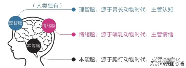 心好累？如果有这3种情况，千万别忽视